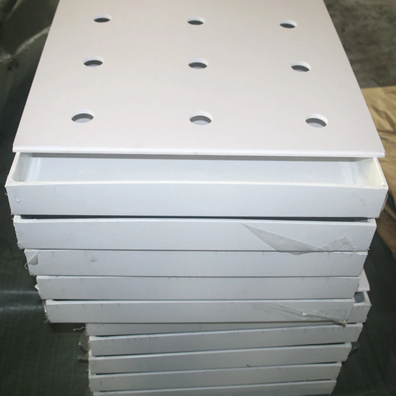 
OEM Custom Plastic Seeding Nursery Tray Durable High-quality Large Hydroponic Tray 