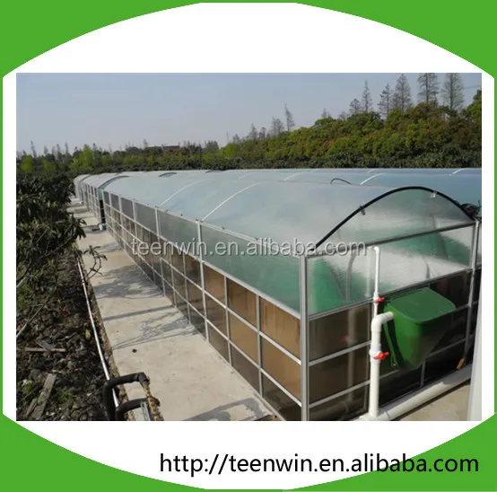 Teenwin good price assembly portable mini/small biogas plant/biogas digester