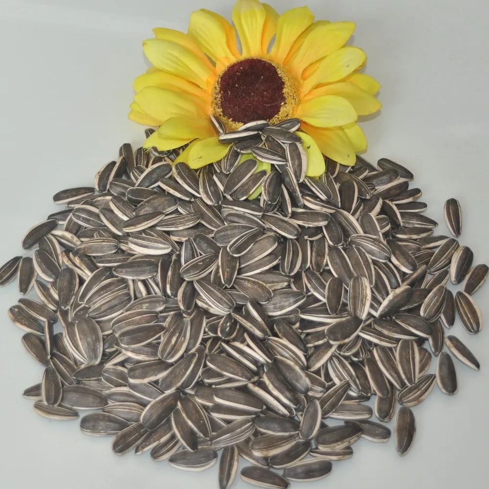 
Raw sun flower seeds for sale 