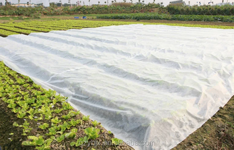 
Anti-UV Pp Spunbonded Nonwoven Fabric Garden Ground Cover Fabric,Frost Cover Fleece/blanket/fabric 