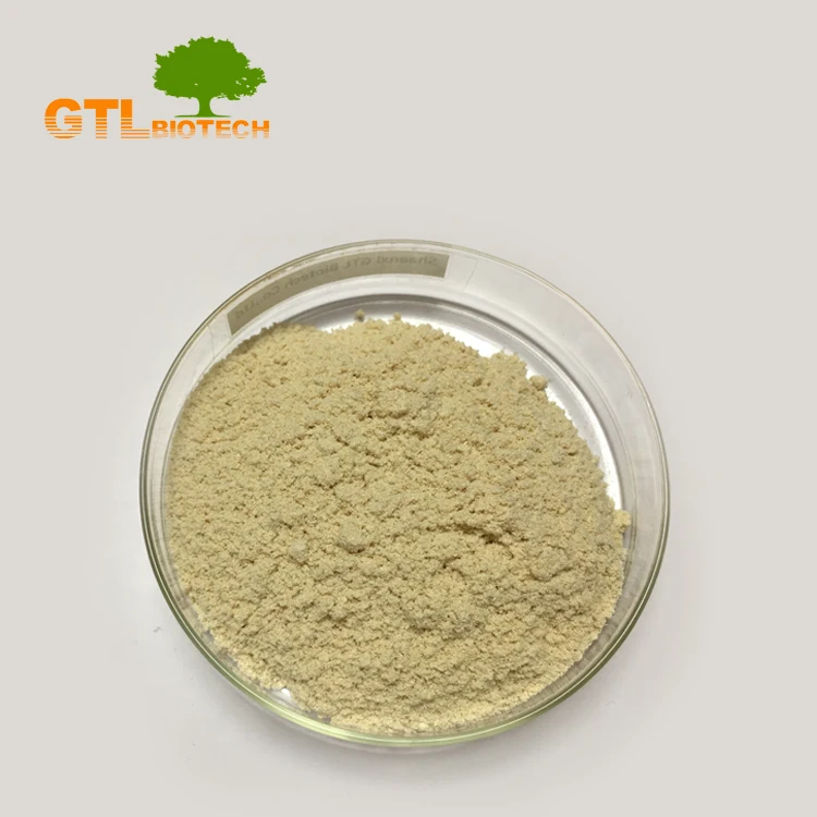 
Professional Bamboo Shoot Fiber Powder from GTL BIOTECH 