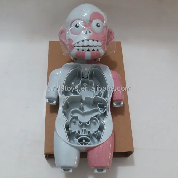 learning resource lab human body doctor play set human body parts