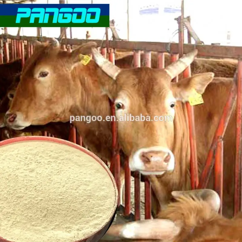 PRO-01 Bacillus Subtilis Fermentation Feed Additives for animal feed use