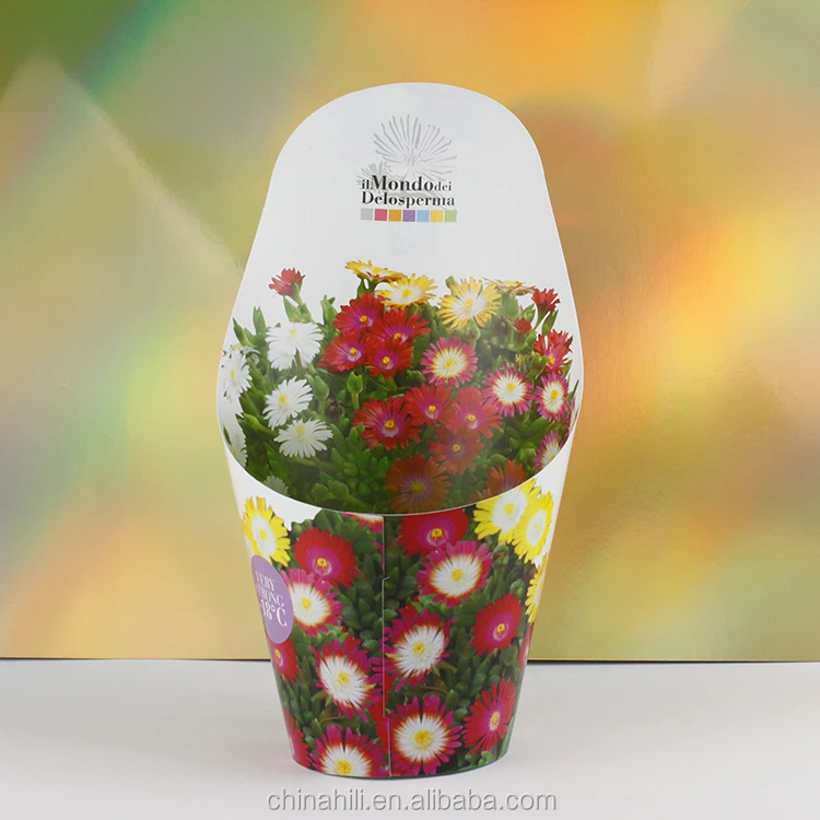 Waterproof plastic farm decorative greenhouse moisture star plant pot decoration artificial flower growing pot