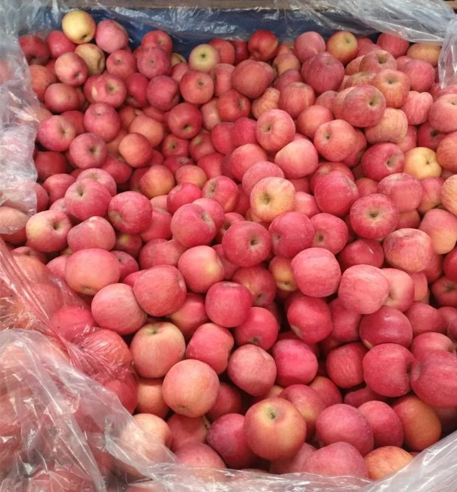 2022 new crop paper bagged fuji apple