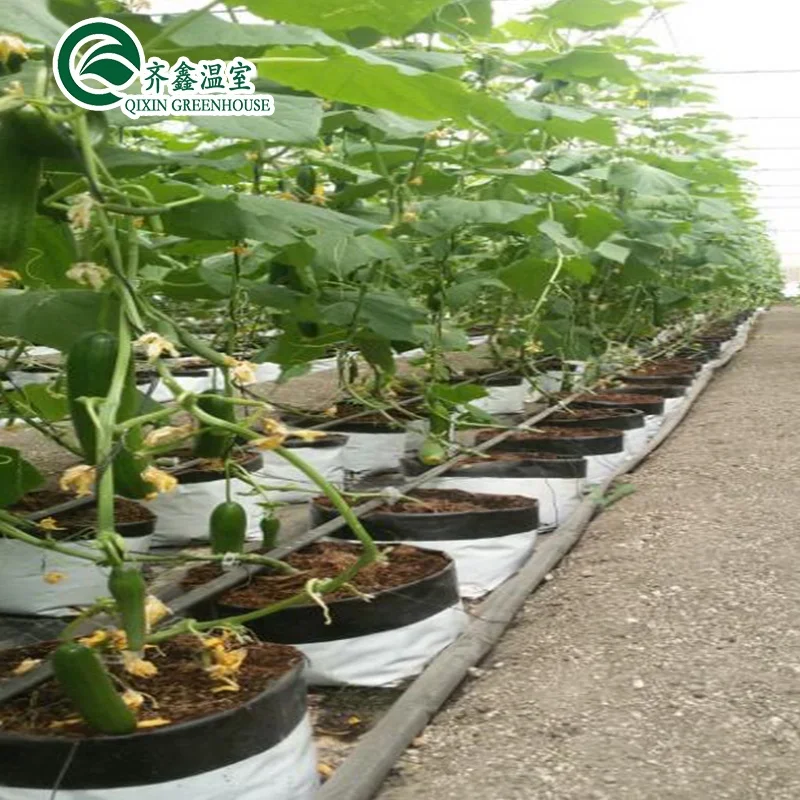 greenhouse agricultural equipment for sale