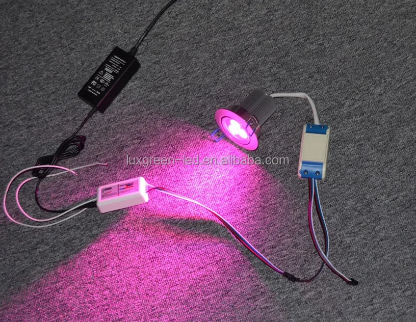 RGBW 3*8W (4IN1) LED ceiling lamp,RGBW LED ceiling light with 3 years warranty