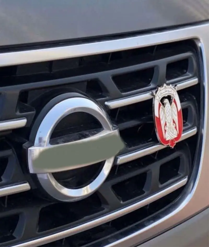 New Design Two Size Falcon Design UAE necklace pendant/Car Emblem