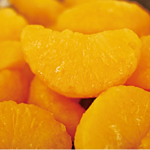 Frozen mandarin orange segments frozen orange