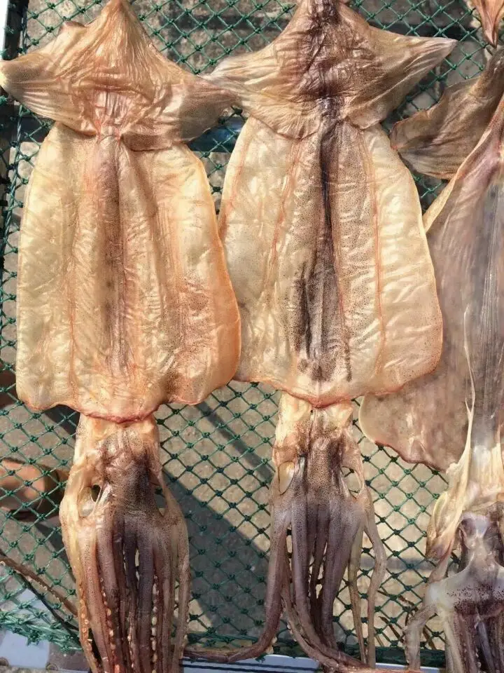
export wholesale supplier of all types of seafoods dried squid 