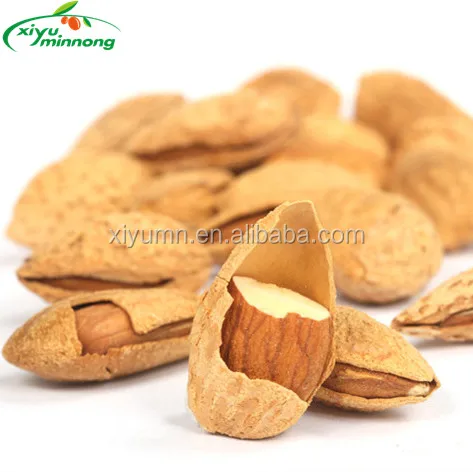 Chinese Premium Roasted and Salted Almond nuts with shell for sale