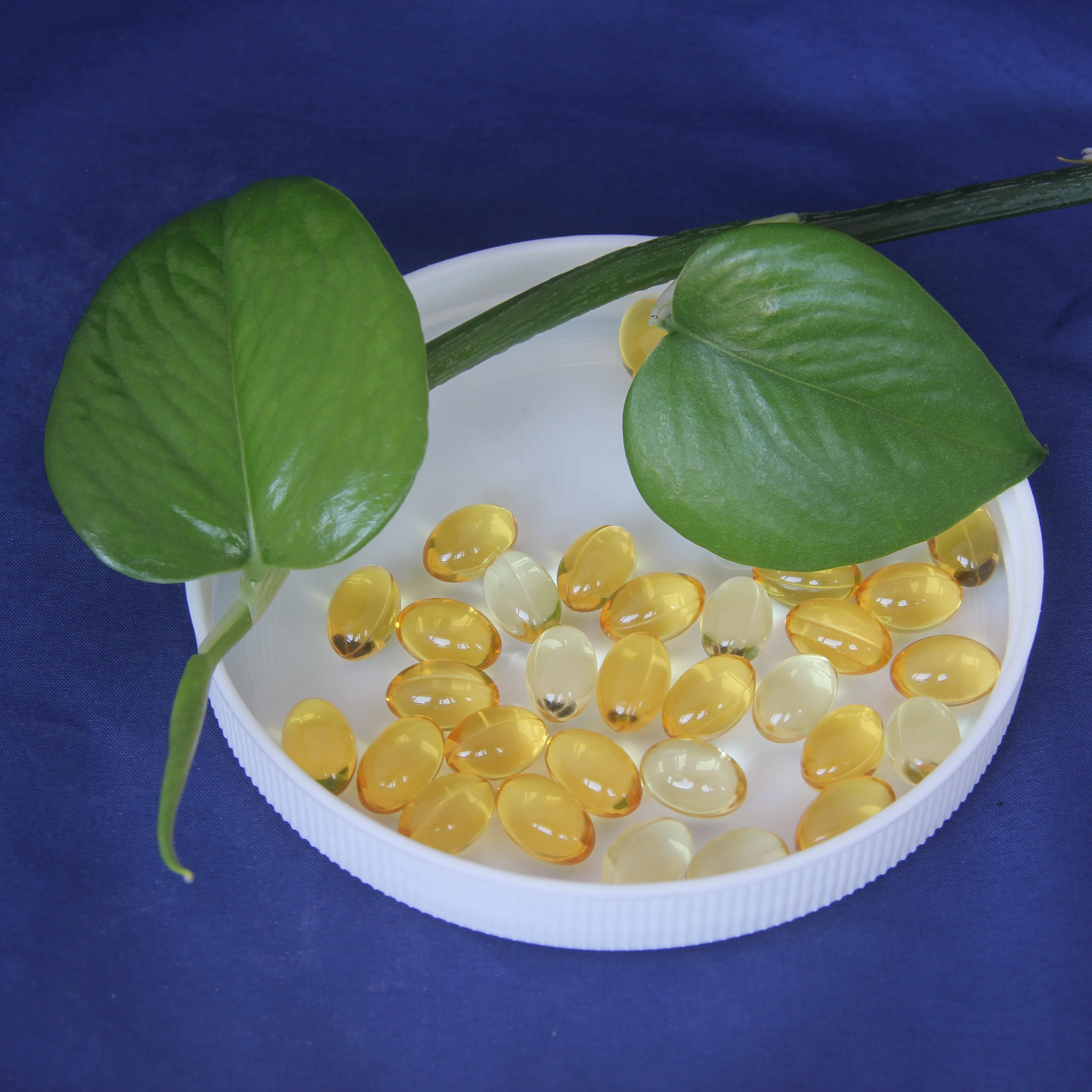 
OEM factory Dietary supplement garlic oil softgel 