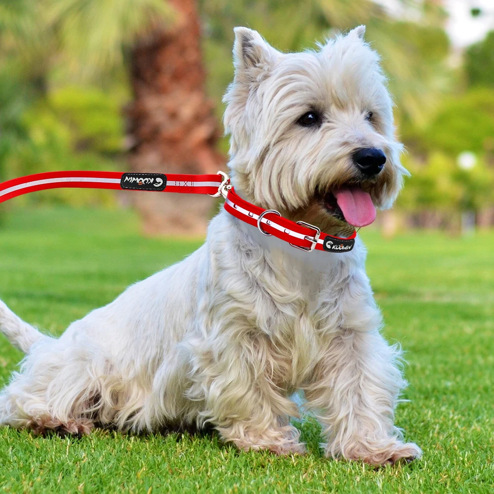 custom Waterproof Traction rope PVC Coated Reflective Clean Dog Collars for pet products