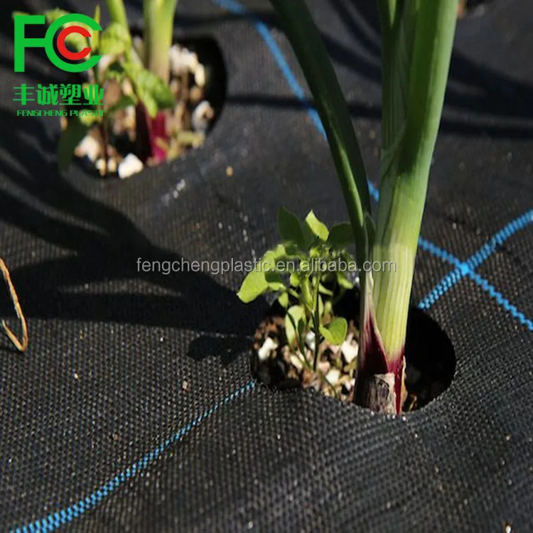 Сетка против сорняков, коврик для клубничных растений, садовая ткань для борьбы с сорняками, лидер продаж