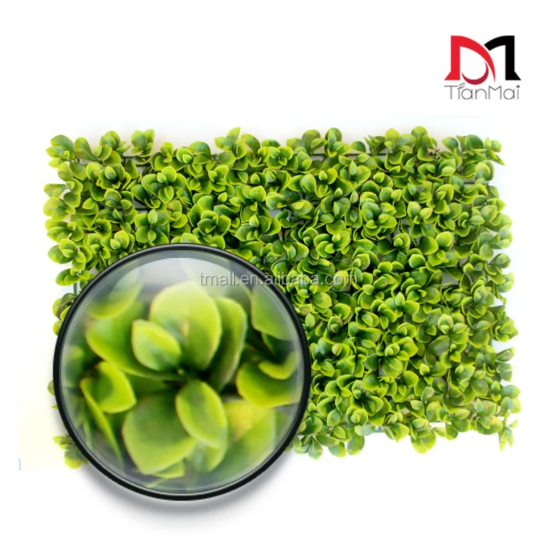 
artificial plant for home decoration 