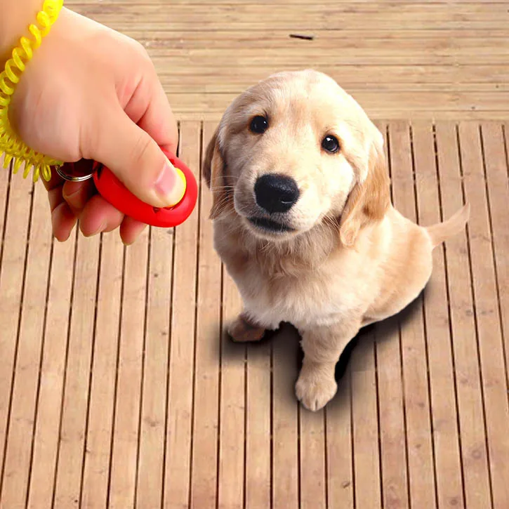 
Pet Training Products Dog Pet Trainer Click Dog Training Clicker Aid Wrist Strap 
