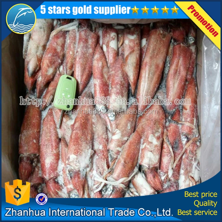 Китай поставщиком loligo Китайский squid chinesis круглый