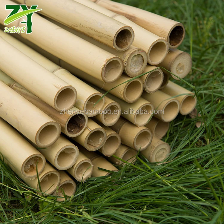 ZY-1001 Chinese Cheap Factory Price Bamboo Sticks for Garden, Construction and Decoration !