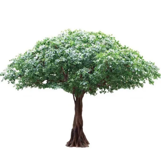 Miniature banyan tree banyan tree plant indoor artificial banyan tree