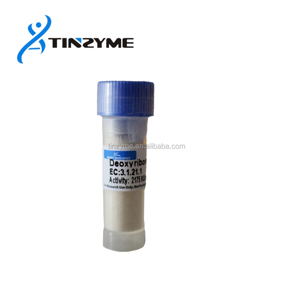 DNase I, Deoxyribonuclease I lyophilized powder