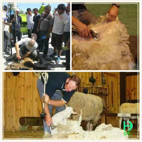 Машинка для стрижки шерсти