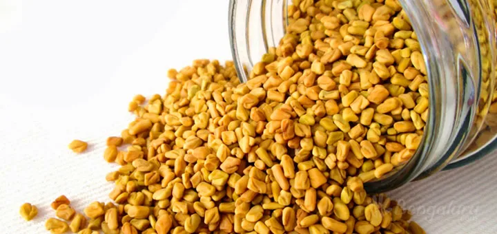 HACCP China supplier hot sale 20% 4-hydroxy isoleucine Common Fenugreek Seed, high quality trigonella foenum-graecum extract