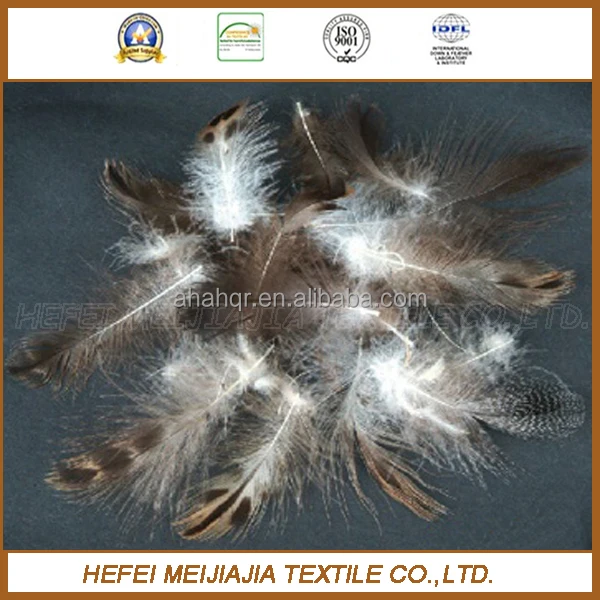 High quality and cheap grey goose/duck feather price from china