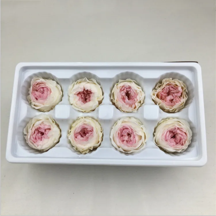 
Long Lasting Roses Preserved Flower Austin Rose for Decorative Flowers & Wreaths 