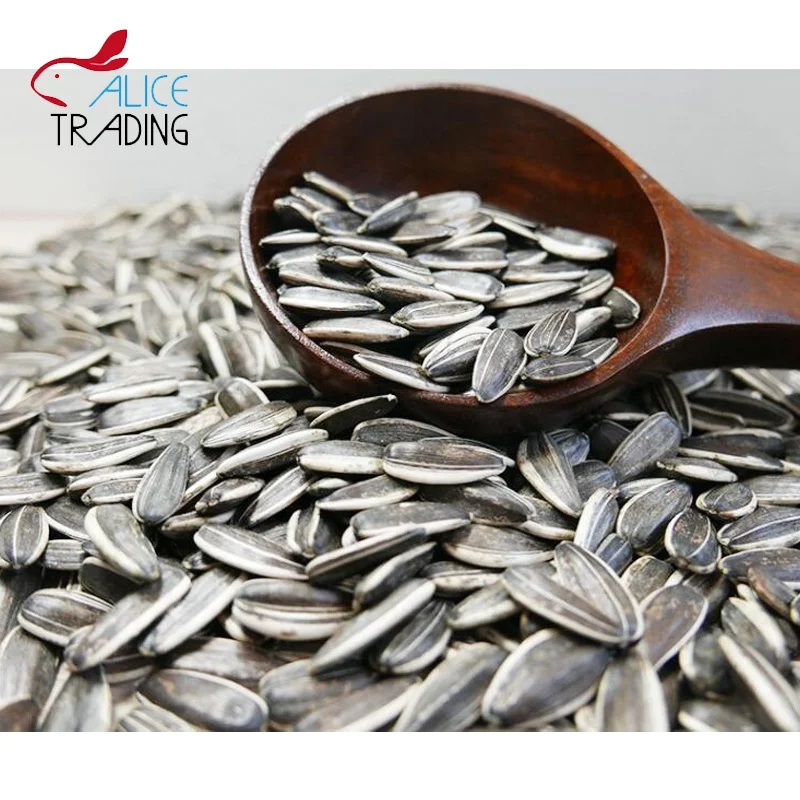 Chinese Inner Mongolia Factory Directly Supply Sunflower Seeds