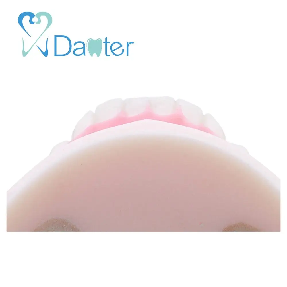 Most Popular Implant Practice Mandibular Jaw Model for Dentist Practice