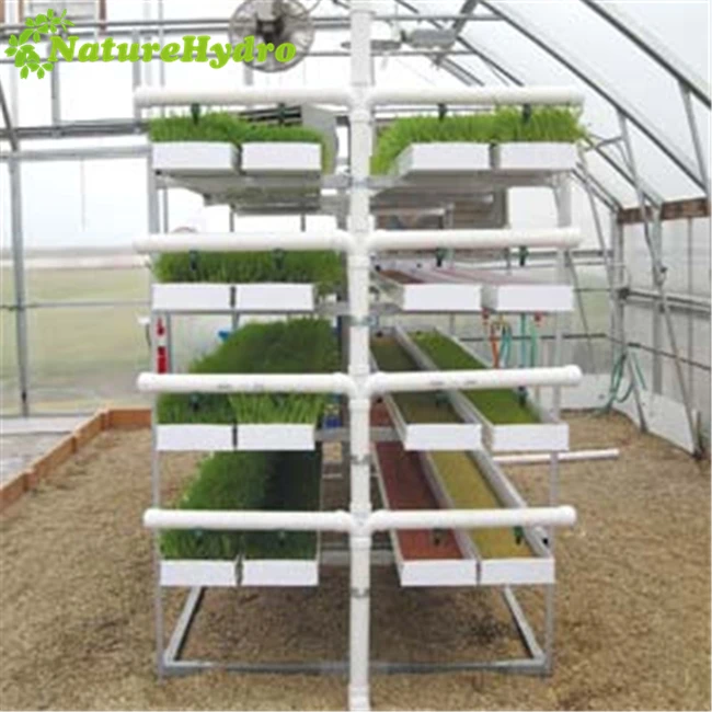 Hydroponic industrial fodder container system for farm animal