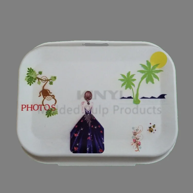 Custom biodegradable paper pulp molded packaging box with print