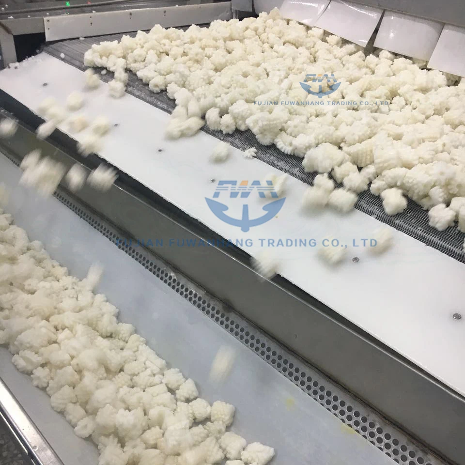 
Hot Sale IQF Frozen Squid Flower 30% Ice Glaze 
