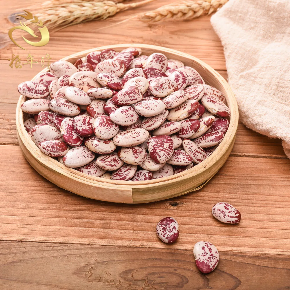 good quality New crop originated Light Speckled Long shape Runner Beans