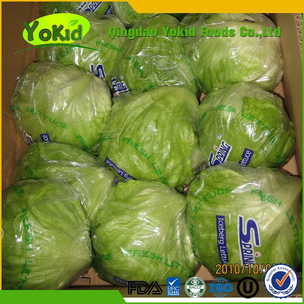 Good Product Green Fresh Brands Lettuce