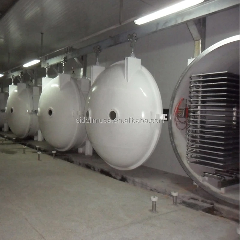 Fruit and Vegetable Freeze Drying Production Line