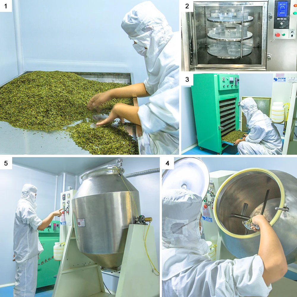 Green Triple Leaf Tea Drink Wholesale Organic 14 day Fit Tea Detox Cleanse Slim Custom Slimming Fat Weight Loss Beauty Detox Tea