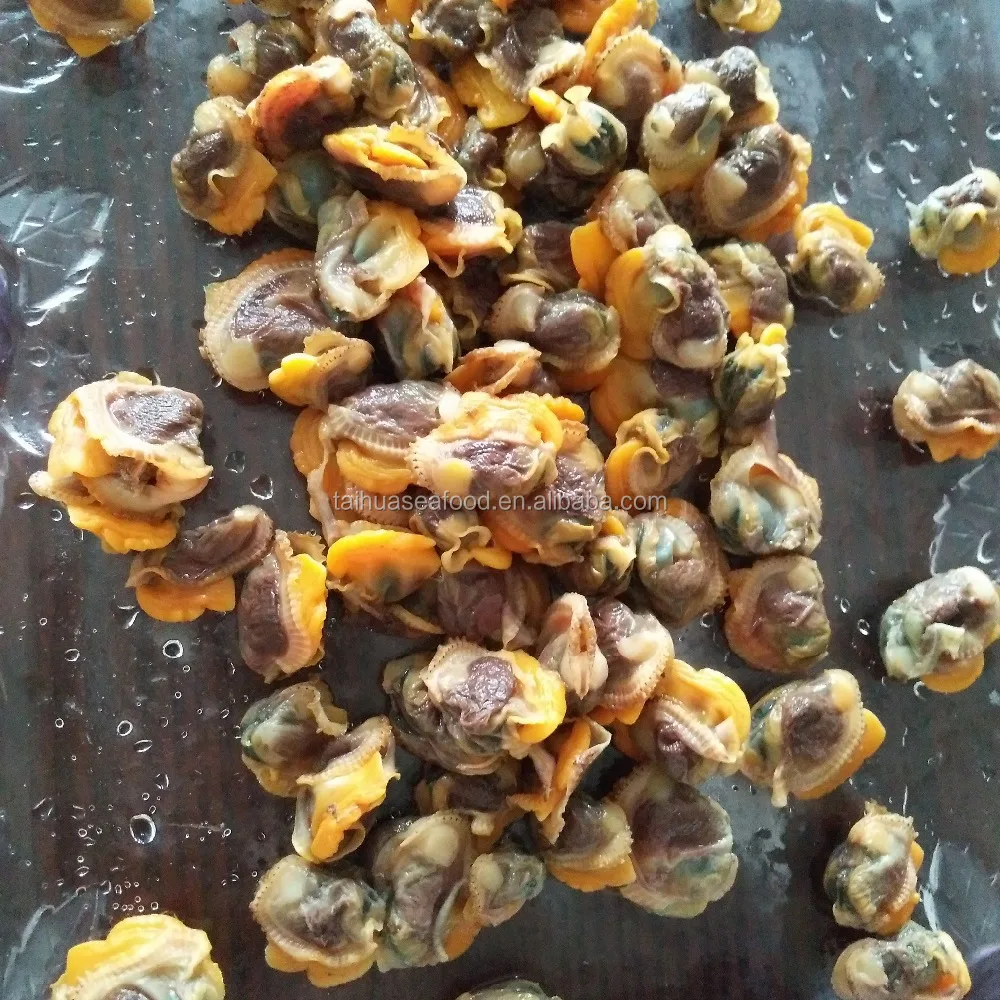 
Frozen boiled fresh blood clam meat 