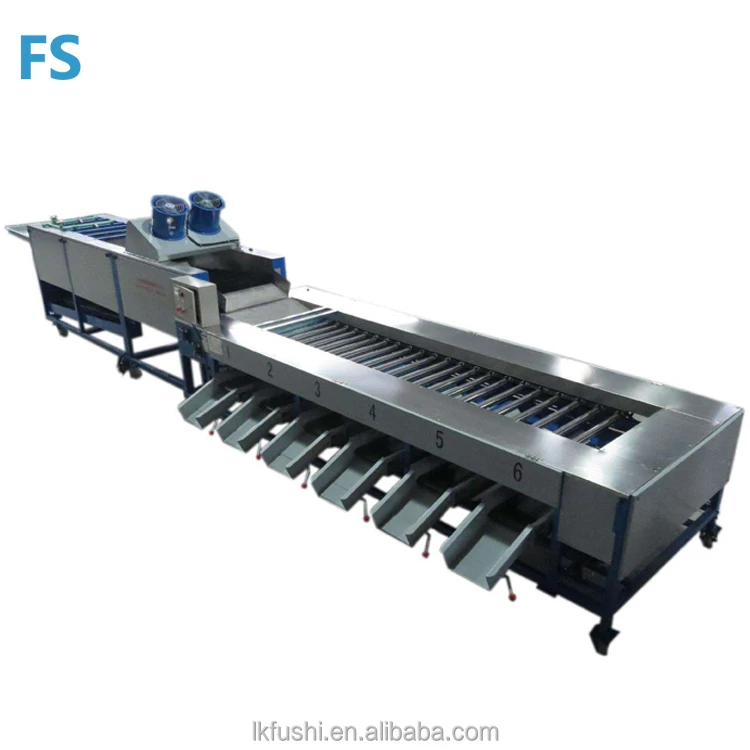 Drive fruit, vegetable, washing and cleaning machines made in China