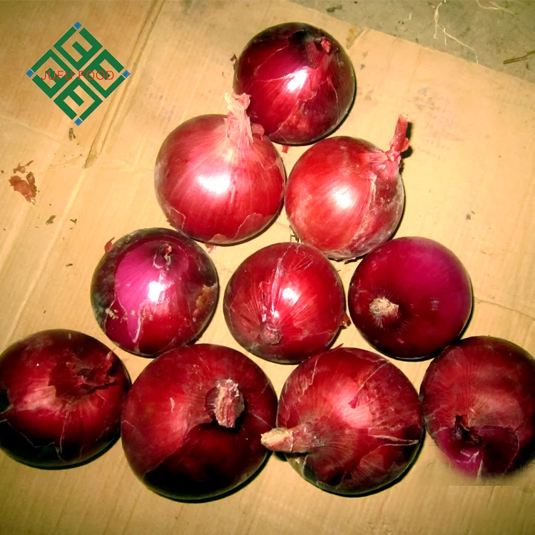 
export fresh small onion from China 