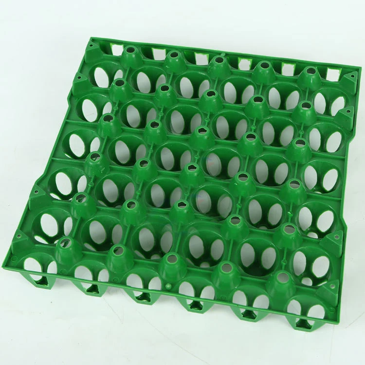 Best selling plastic crate tray for 30 chicken eggs