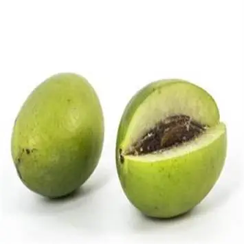 
 Натуральное растение, фруктовое дерево, китайский оливковый фрукт, семена  