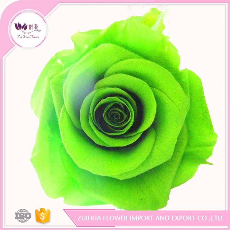 7-8cm factory home/hotel decoration preserved dried flower rainbow rose