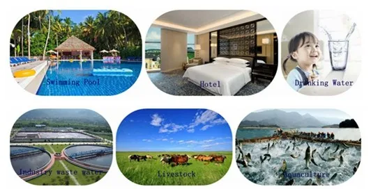 
Calcium Hypochlorite 65% min 7778-54-3 process calcium 