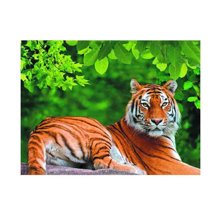 Animation Explore Effect 3d Sleeping tiger Picture
