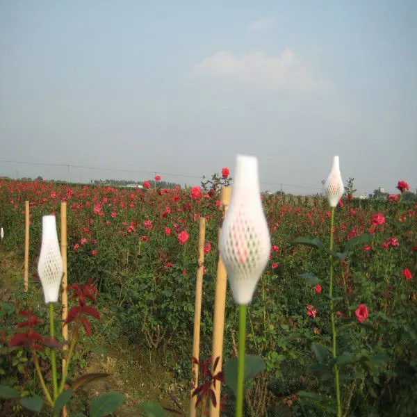 Эластичная поролоновая сетка с цветком розы