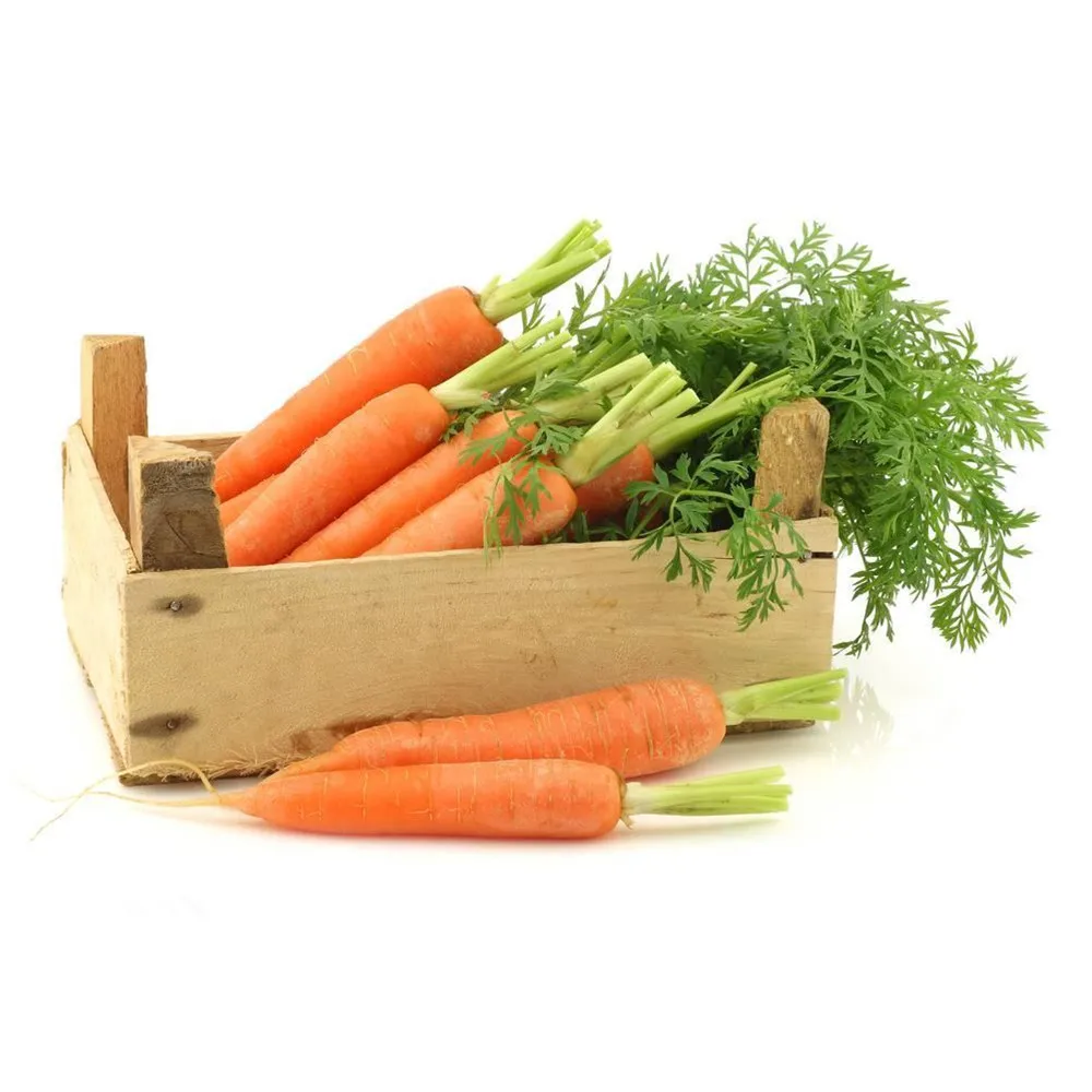 China Factory Price Dehydrate Vegetable Dried Carrot