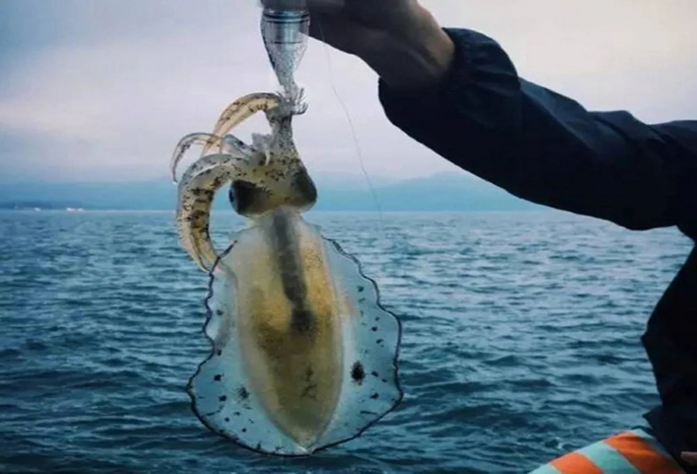 LED Underwater Night Fishing Light Attracting Fish Lamp With Hook