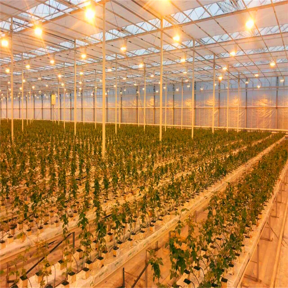 
agricultural polycarbonate greenhouse with 10mm thick polycarbonate sheet as covering insect net 