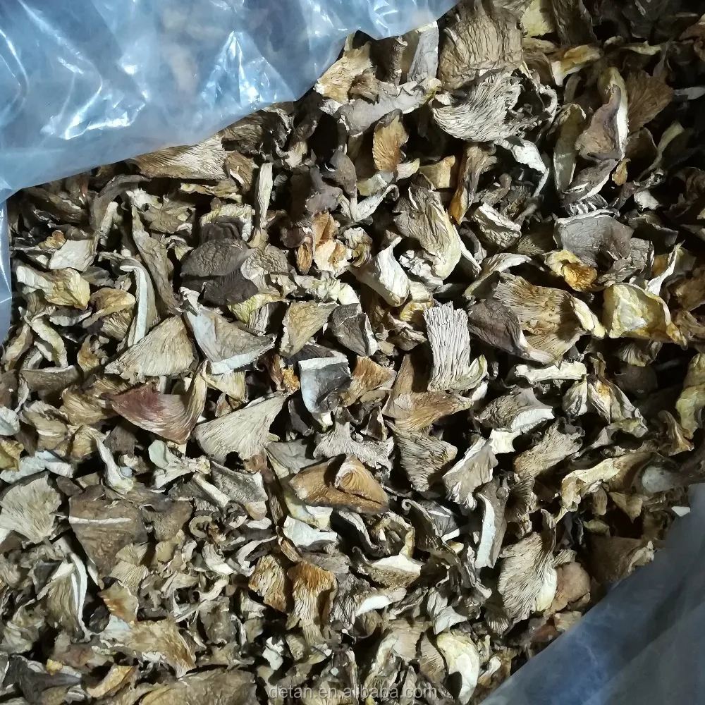 
Detan Dried Oyster Mushroom 